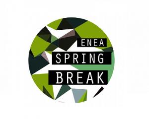 ZPAV na Enea Spring Break Showcase Festival & Conference 2017